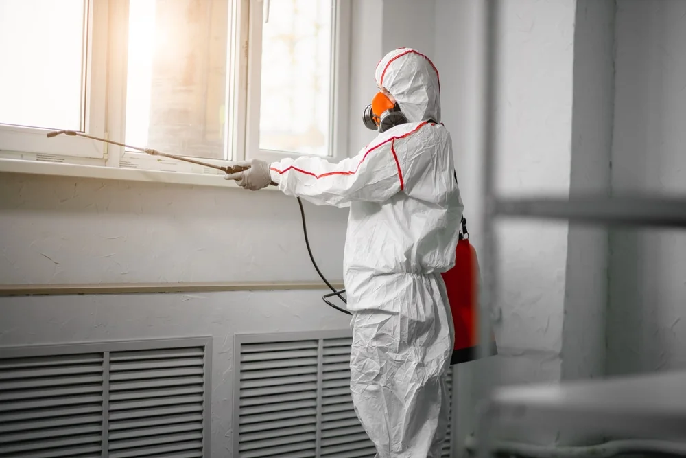 Professional mold remediation services in Millville, NJ